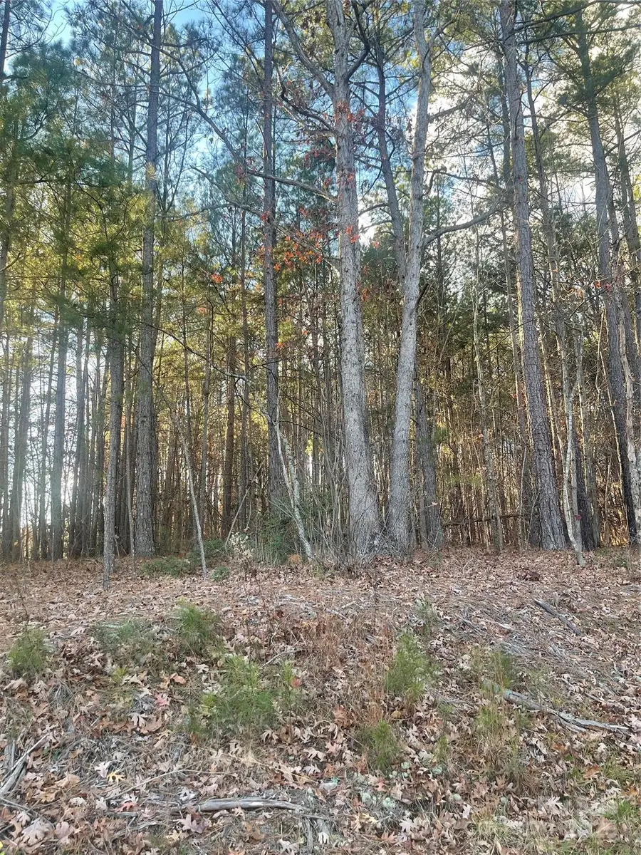 3912 Scott Road, Morganton, NC 28655 - Image #2