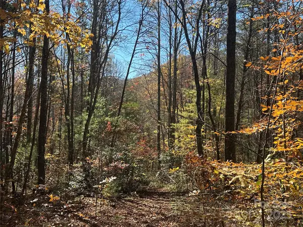 99999 Morgan Hill Road #3, Fairview, NC 28730