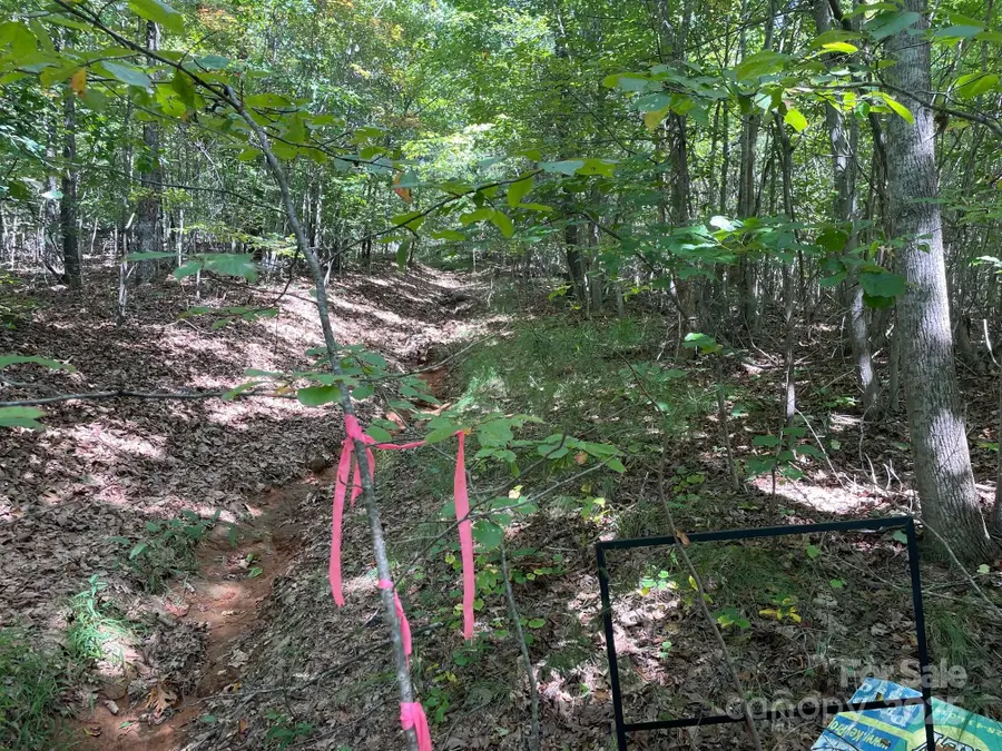 3913 High Peak Terrace, Valdese, NC 28690 - Image #3