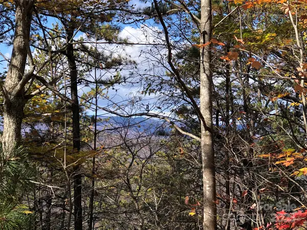 TBD Buck Mountain Road #96, Purlear, NC 28665