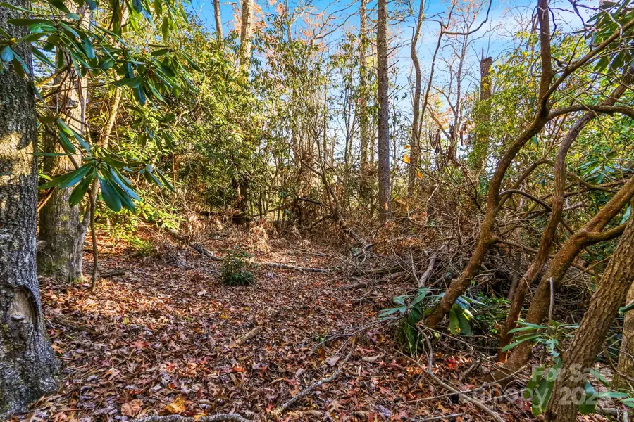 TBD Midway Road, Altamont, NC 28647 - Image #2