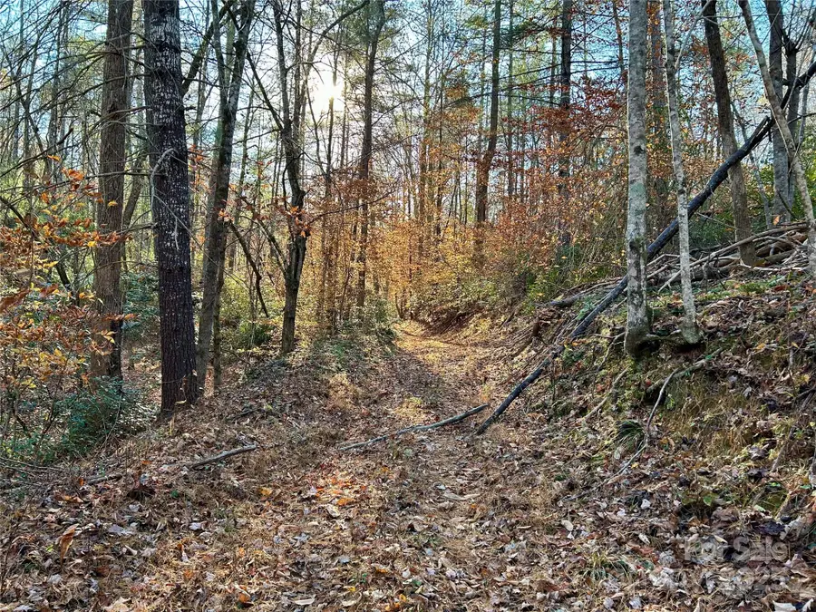 0 Polk County Line Road, Rutherfordton, NC 28139 - Image #2