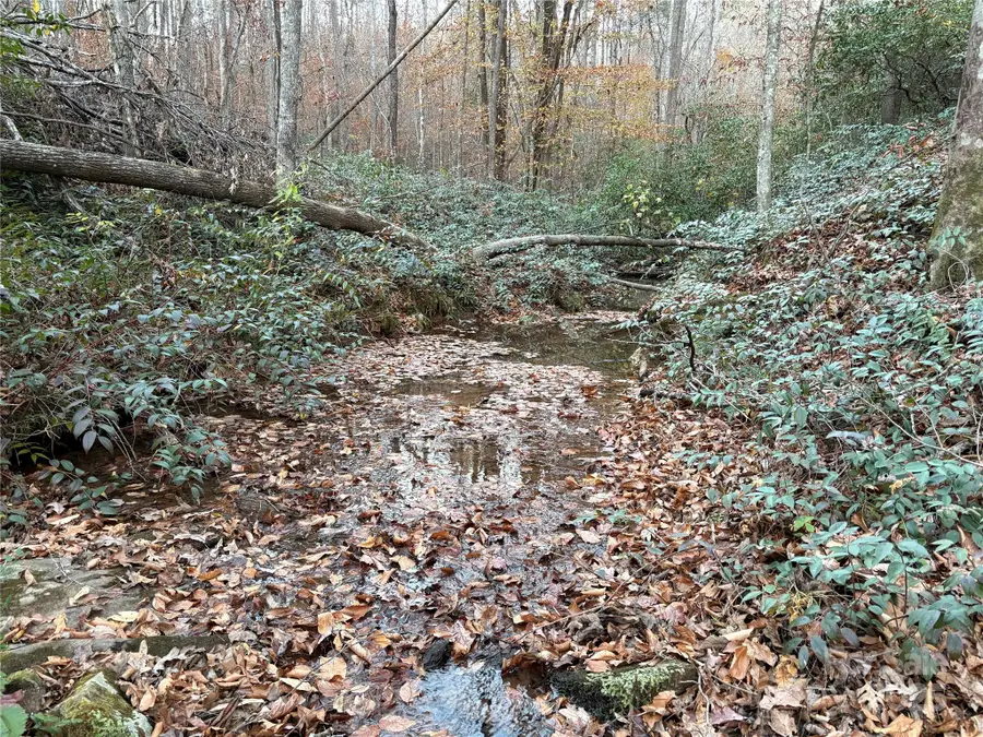 0 Polk County Line Road, Rutherfordton, NC 28139 - Image #2