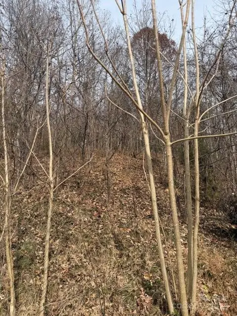 00 Yancey Road, Marion, NC 28752 - Image #1