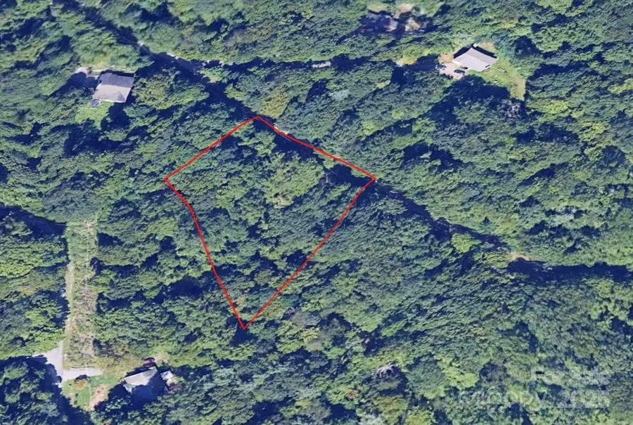 1 Green Ridge Falls Road, Barnardsville, NC 28709 - Image #2