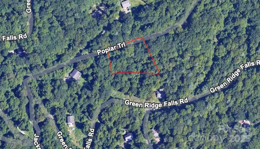 1 Green Ridge Falls Road, Barnardsville, NC 28709 - Image #3