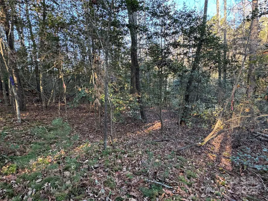 8485 Huffman Avenue, Connelly Springs, NC 28612 - Image #3