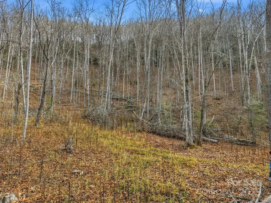 00 Barkers Creek Road, Whittier, NC 28789 - Image #2