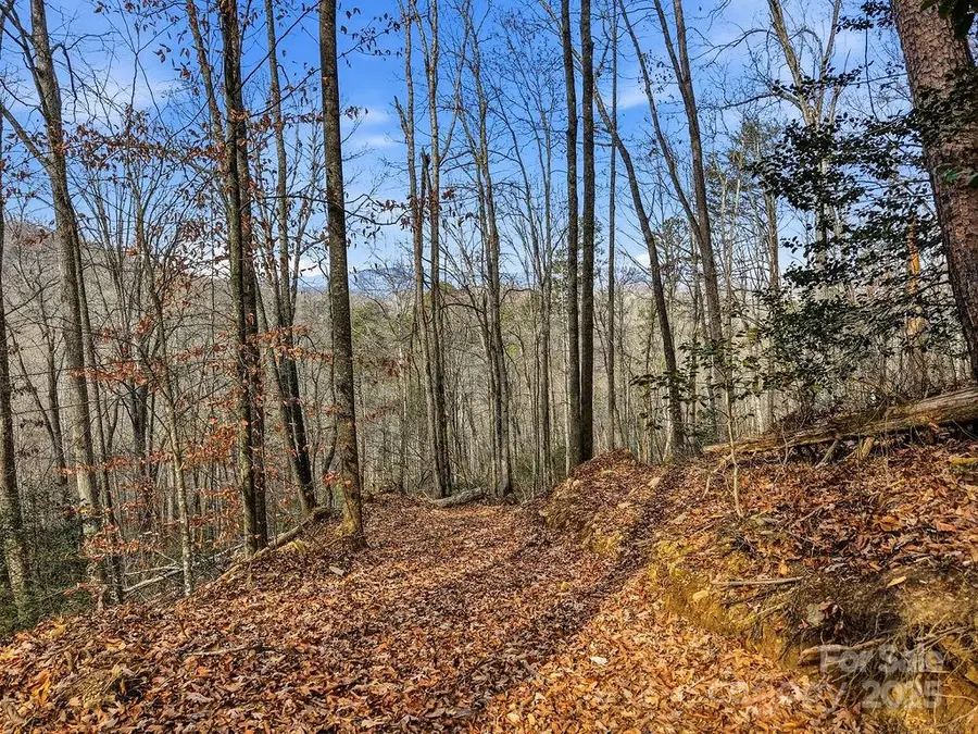 00 Barkers Creek Road, Whittier, NC 28789 - Image #3