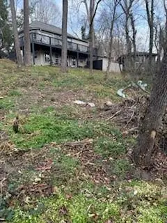 174 Kenilworth Road, Asheville, NC 28803 - Image #3