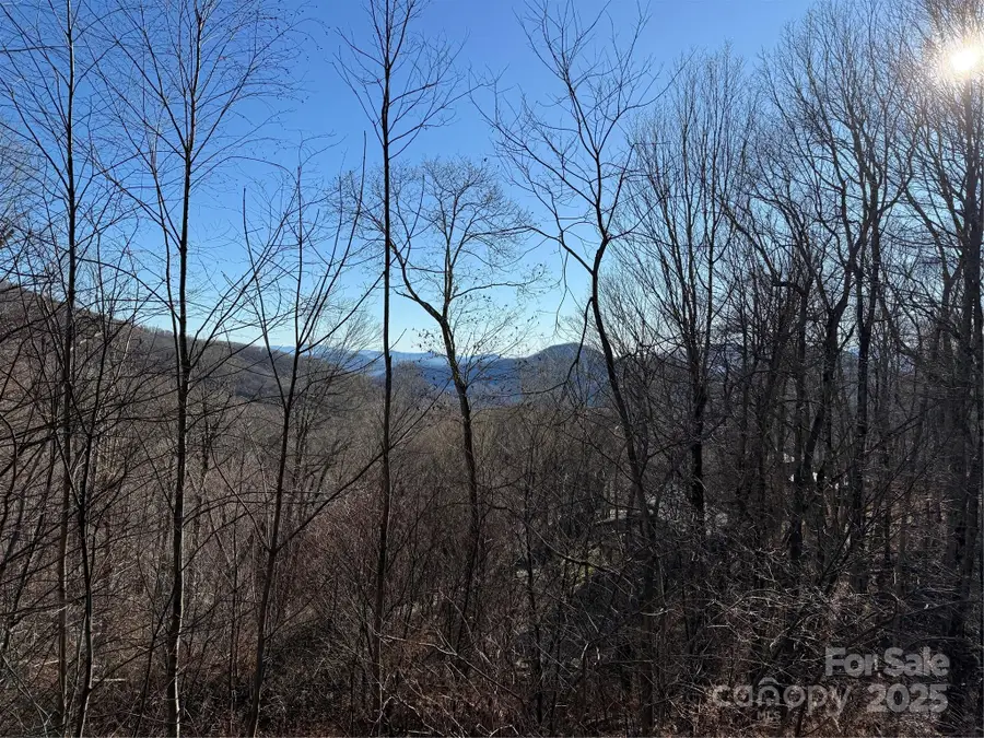 000 Trillium Lane #30, Mars Hill, NC 28754 - Image #3