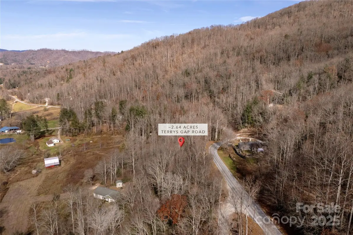00 Terrys Gap Road, Fletcher, NC 28732 - Image #1