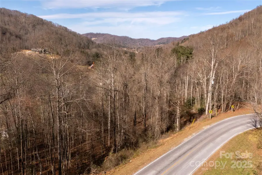 00 Terrys Gap Road, Fletcher, NC 28732 - Image #3