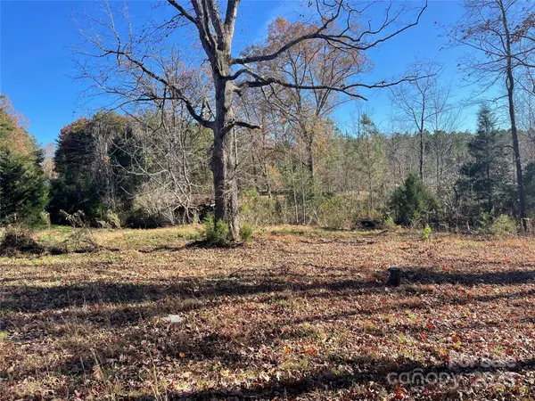 339 Bobby Mckinney Road, Union Mills, NC 28167