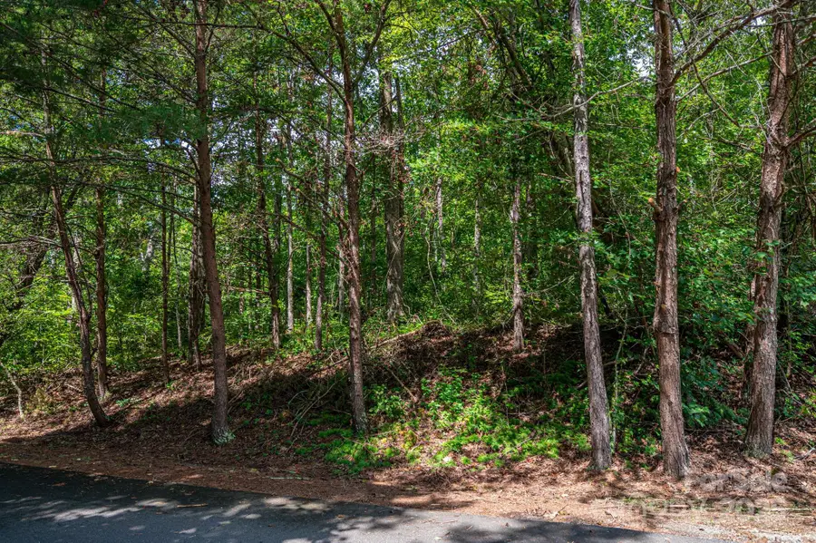 Lot 26 Line Drive, Forest City, NC 28043 - Image #2