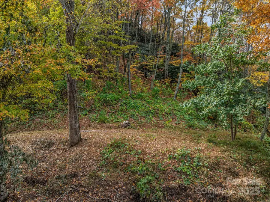 45 Flora Rose Trail, Asheville, NC 28803 - Image #2