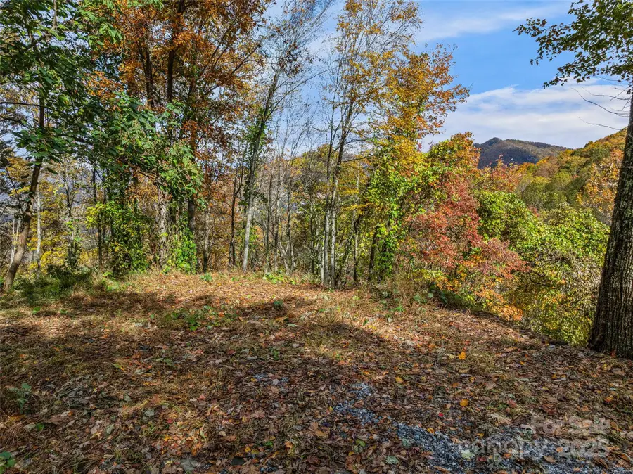 45 Flora Rose Trail, Asheville, NC 28803 - Image #3