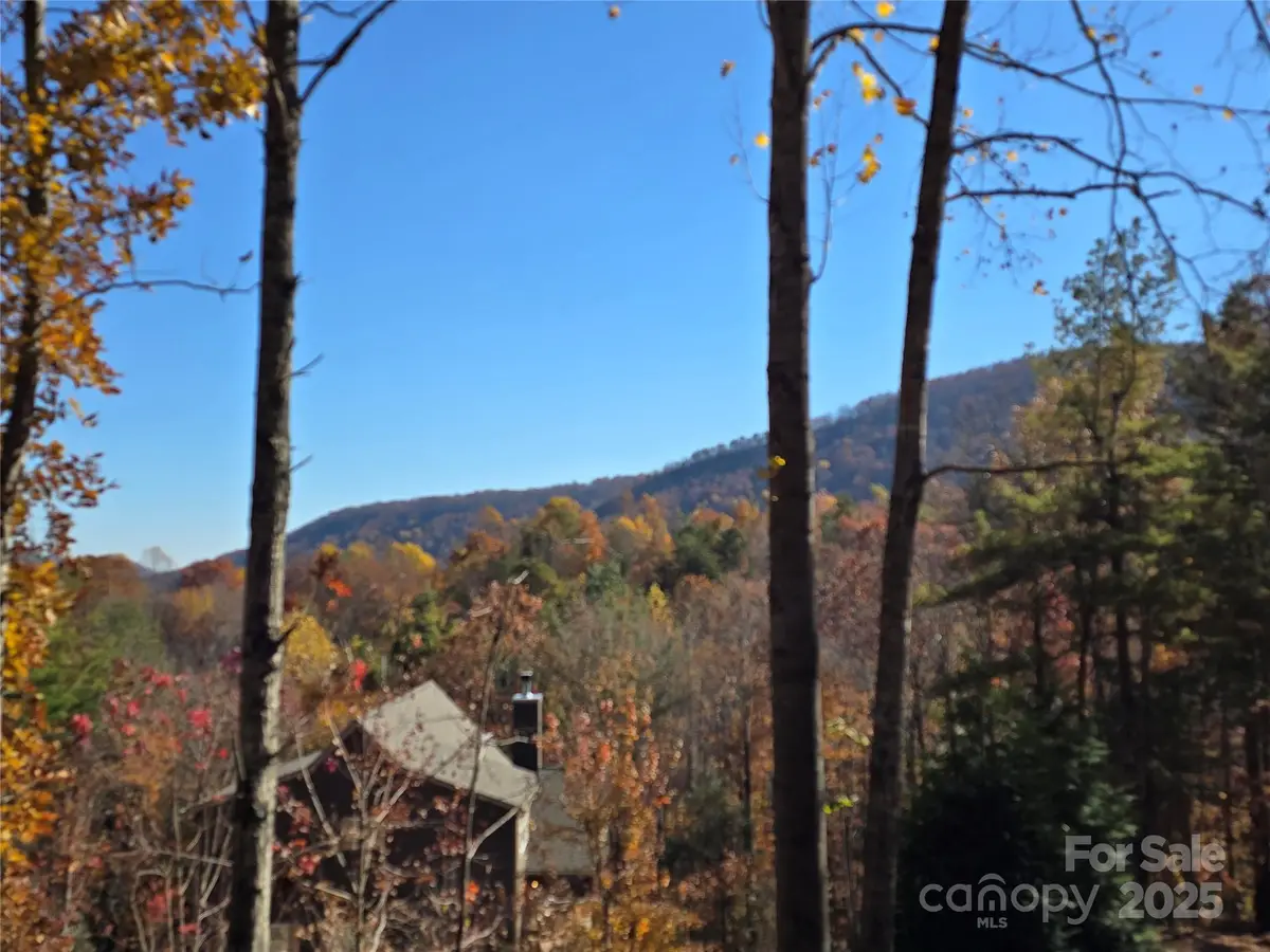 295 S Feather Falls Trail #50, Black Mountain, NC 28711 - Image #1