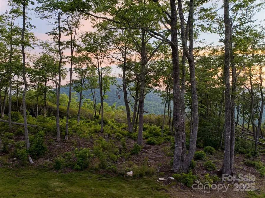 591 Garden Lane, Hendersonville, NC 28792 - Image #2