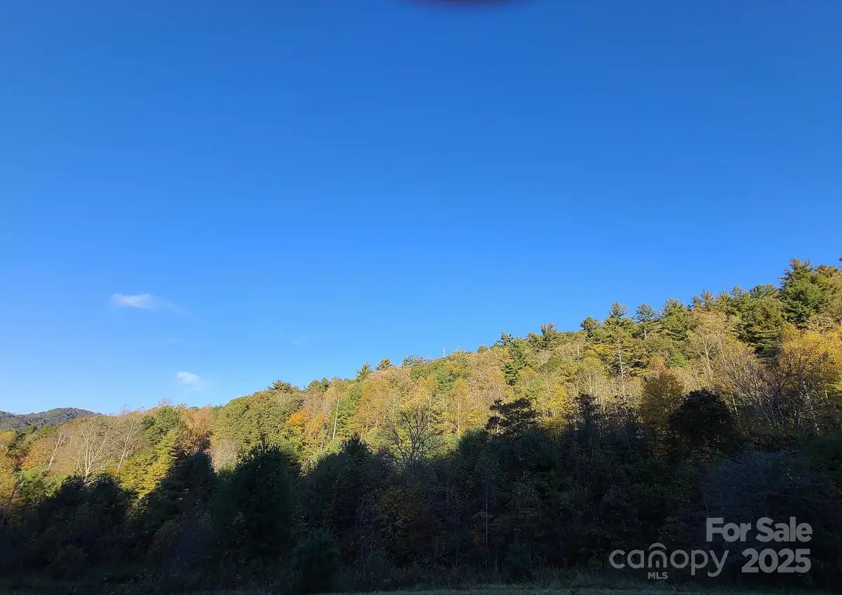 Tracts 2A & 2B Rabbit Skin Road #Tract 2A & 2B, Waynesville, NC 28785 - Image #1