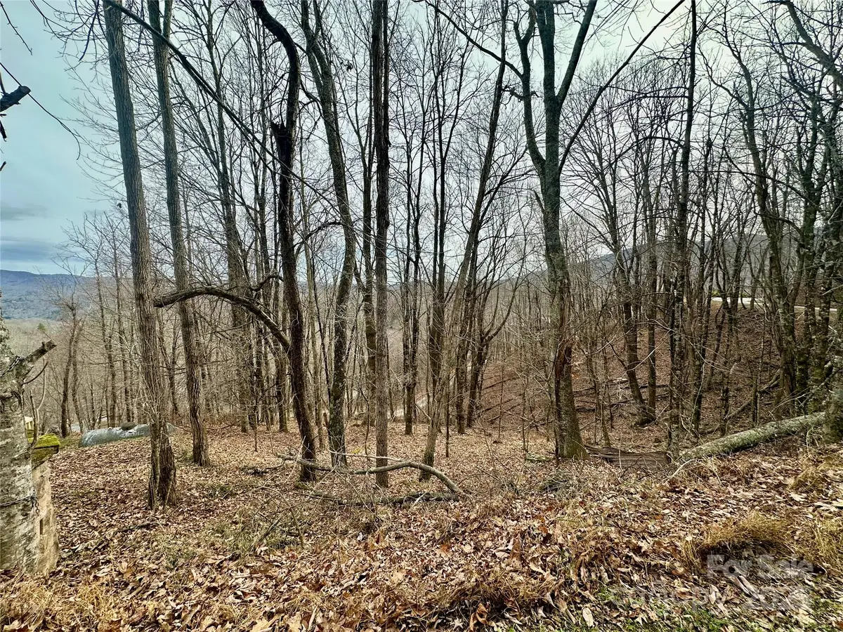 TBD Alpine Drive #21-22, Seven Devils, NC 28604 - Image #1