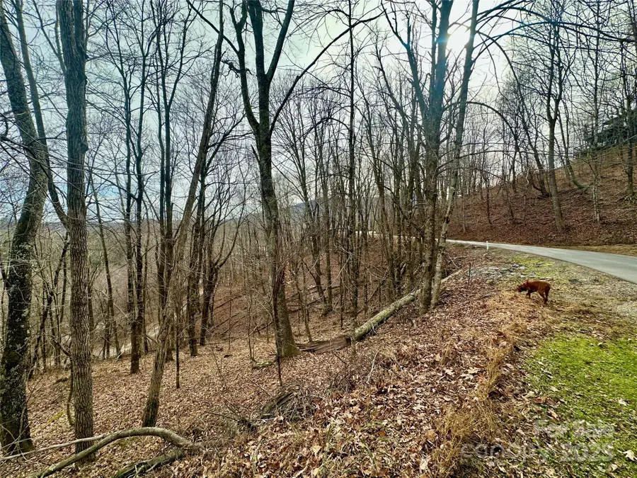 TBD Alpine Drive #21-22, Seven Devils, NC 28604 - Image #2