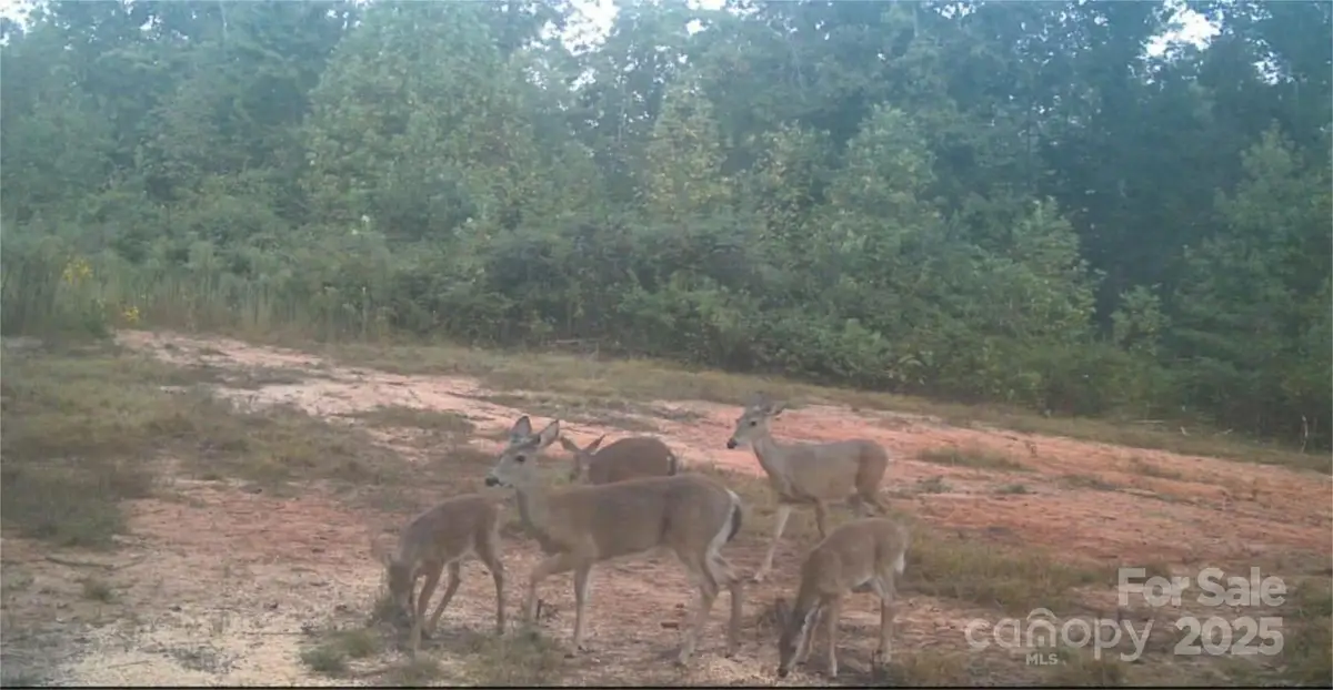 4204 Bennett Road, Morganton, NC 28655 - Image #1