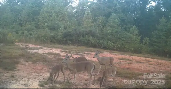 4204 Bennett Road, Morganton, NC 28655