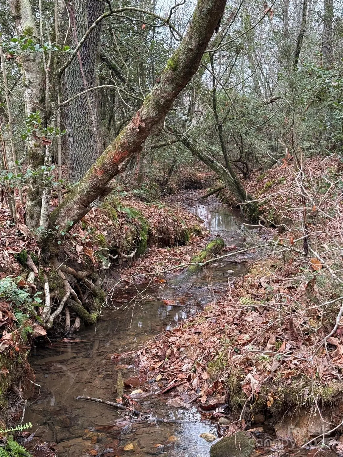 0 Oak Hill School Road, Lenoir, NC 28645 - Image #1