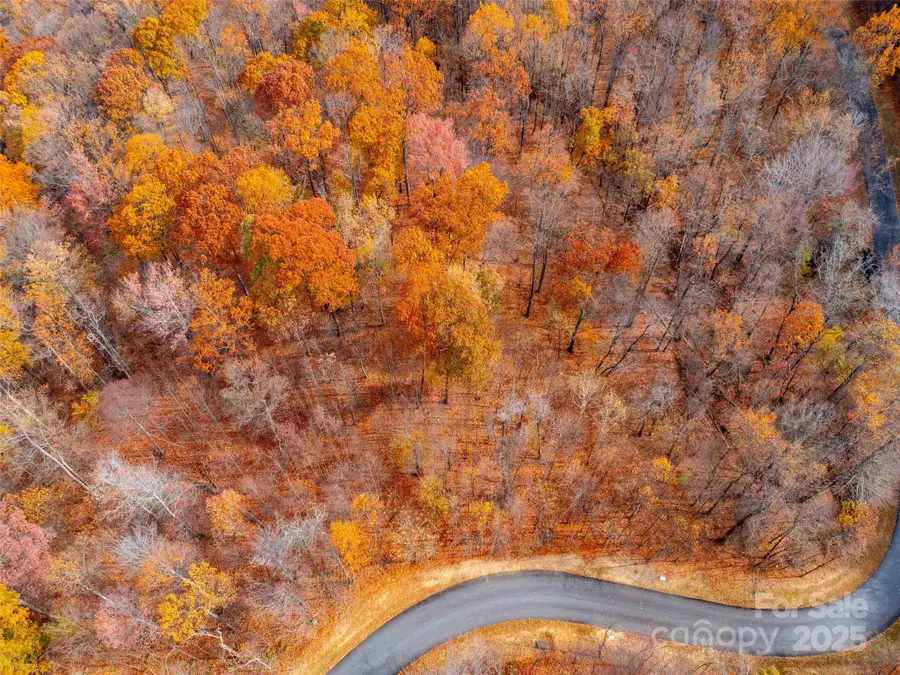 Lot 2110 Harm Creek Loop, Mill Spring, NC 28756 - Image #2