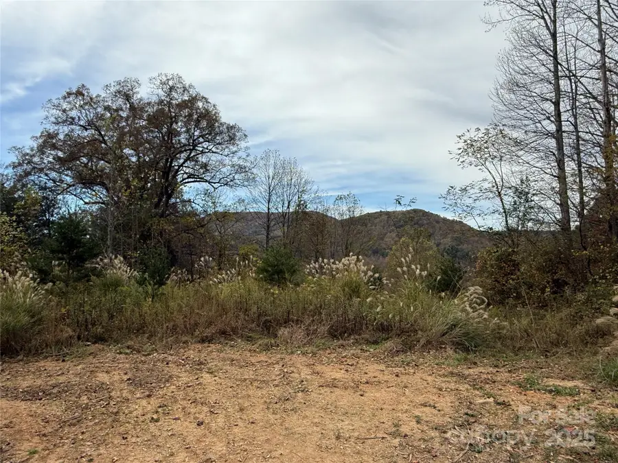 Lot # 2 Masterpiece Meadows Drive #2, Hendersonville, NC 28739 - Image #3