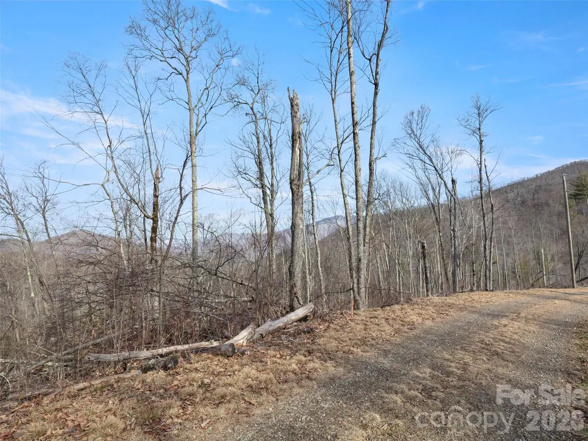 TBD S Ridge Runner Road, Burnsville, NC 28714 - #1