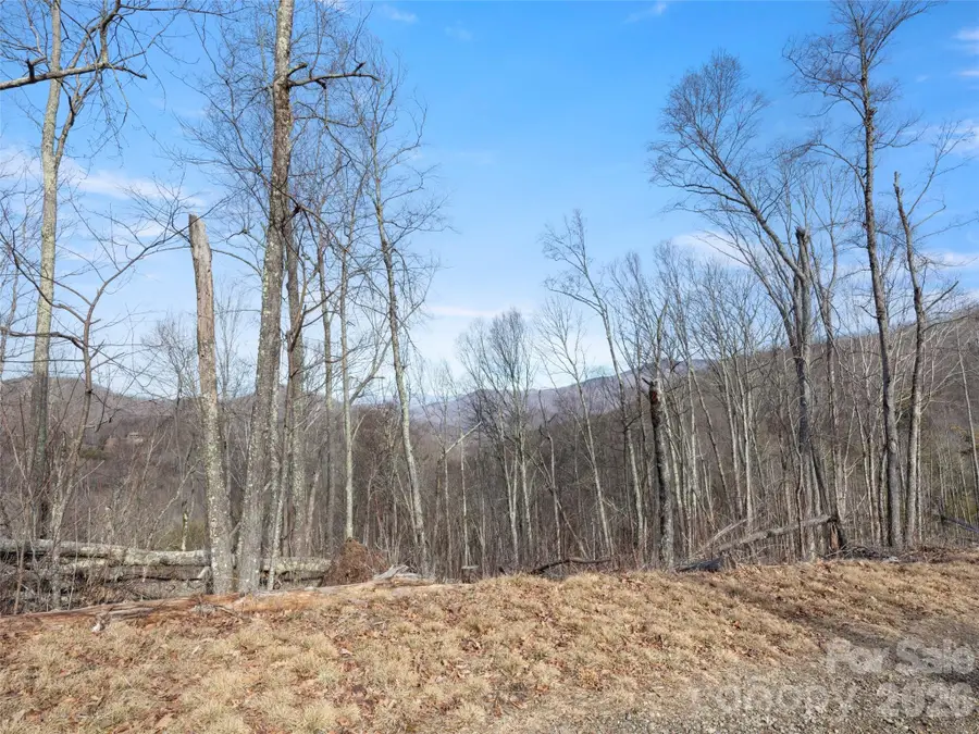 TBD S Ridge Runner Road, Burnsville, NC 28714 - #2
