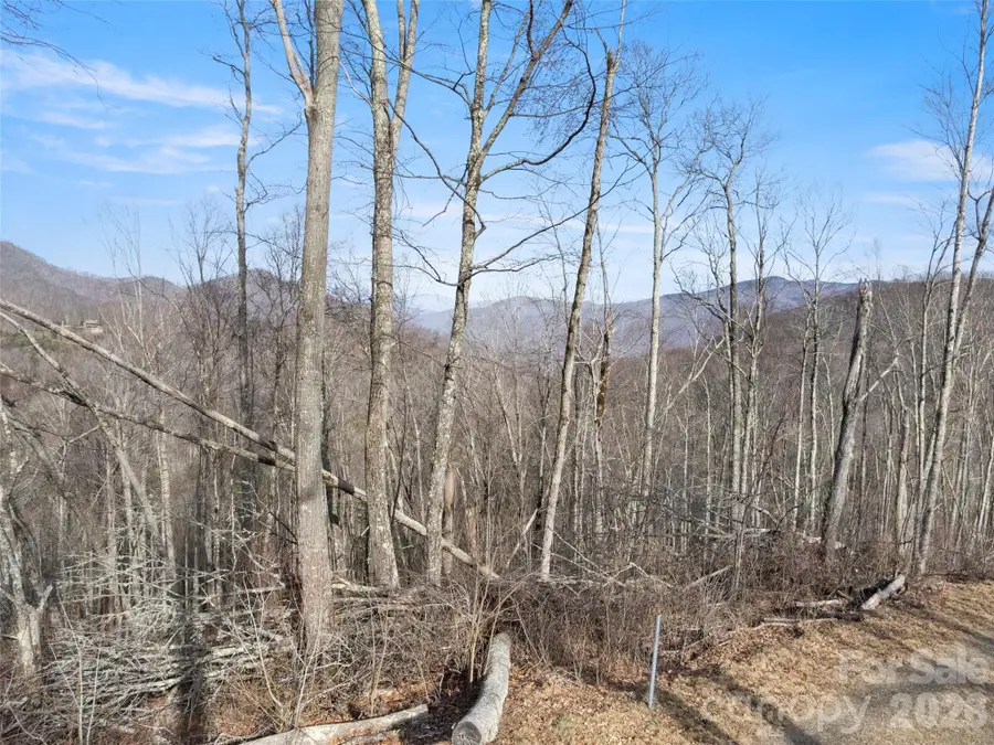 TBD S Ridge Runner Road, Burnsville, NC 28714 - #3
