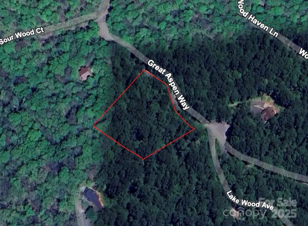 48 Great Aspen Way, Black Mountain, NC 28711 - Image #1