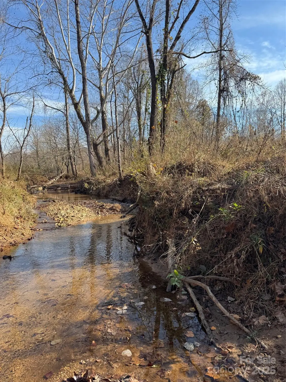 000 Thunder Road, Rutherfordton, NC 28139 - Image #1