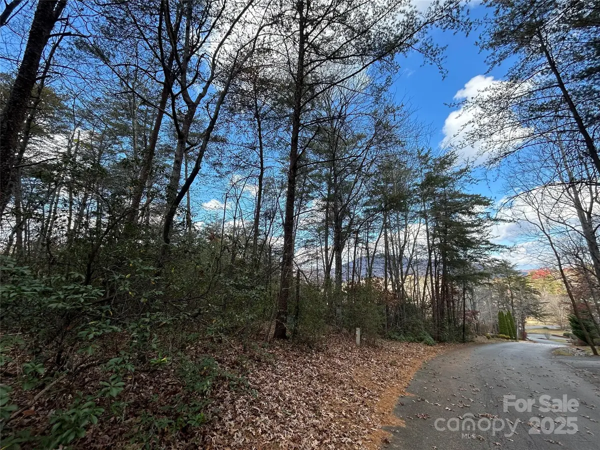0 Raleigh Drive #2, Lake Lure, NC 28746 - Image #1