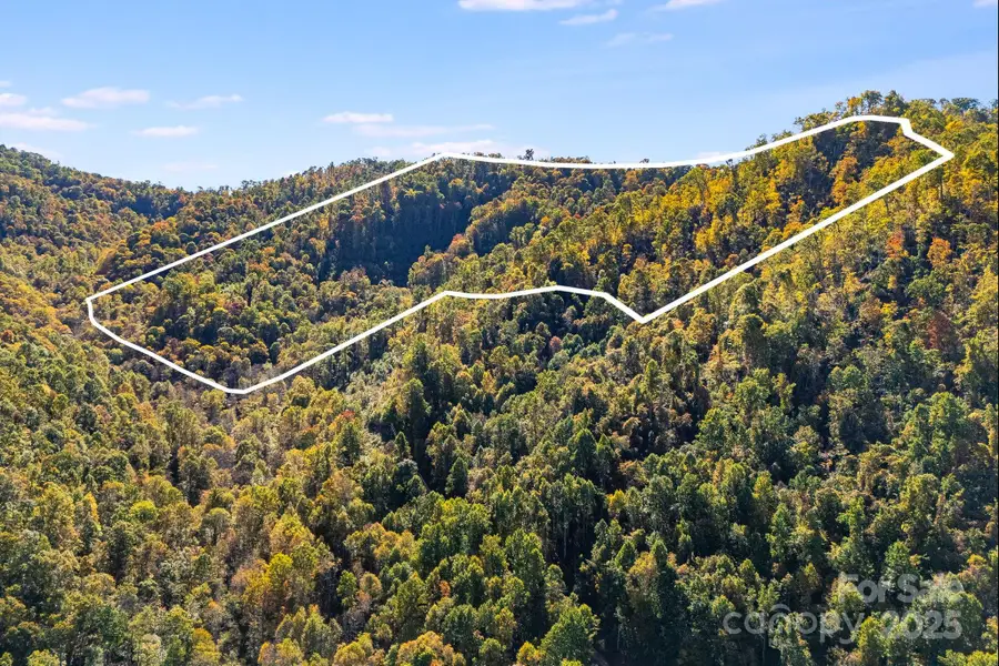 000 Hamburg Road #49, Mars Hill, NC 28754 - Image #2