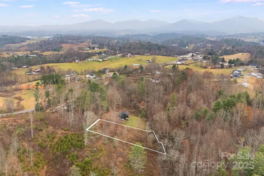 9999 Gizmo Trail, Leicester, NC 28748 - Image #2