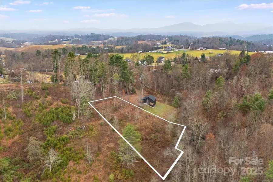 9999 Gizmo Trail, Leicester, NC 28748 - Image #3