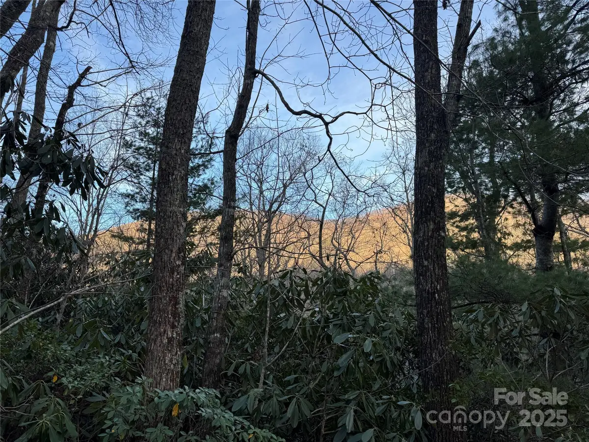 99999 Shenandoah Terrace, Montreat, NC 28757 - Image #1