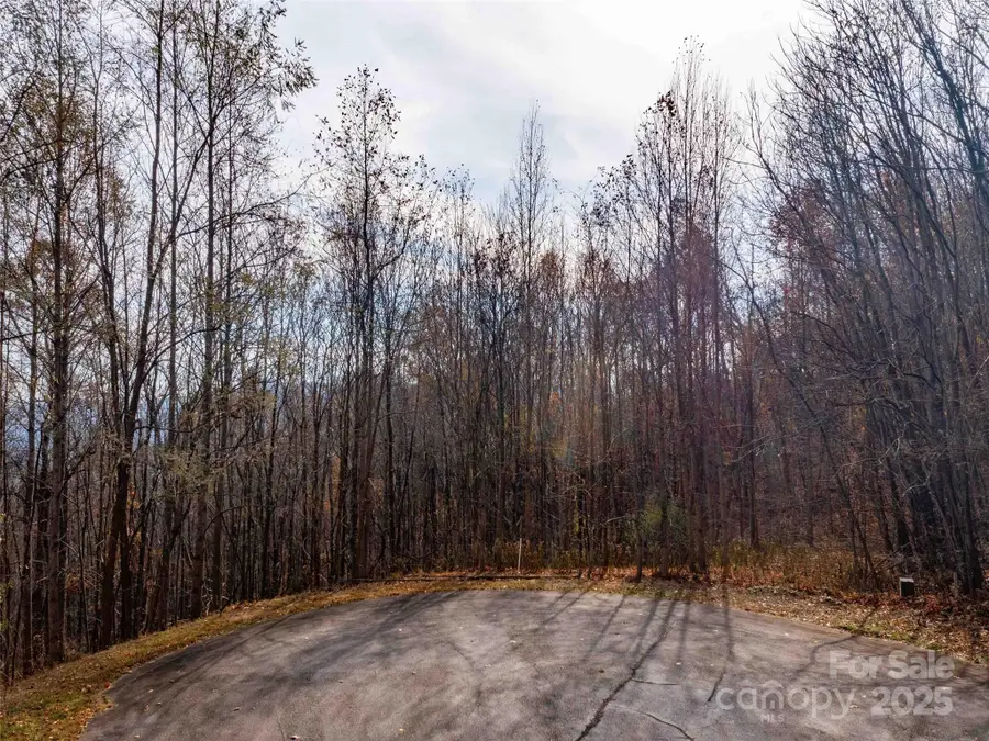 242 Nottingham Drive, Mill Spring, NC 28756 - Image #2