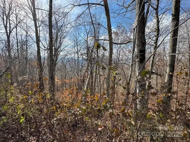 50 Scenic Wolf Ridge Road, Mars Hill, NC 28754 - Image #1