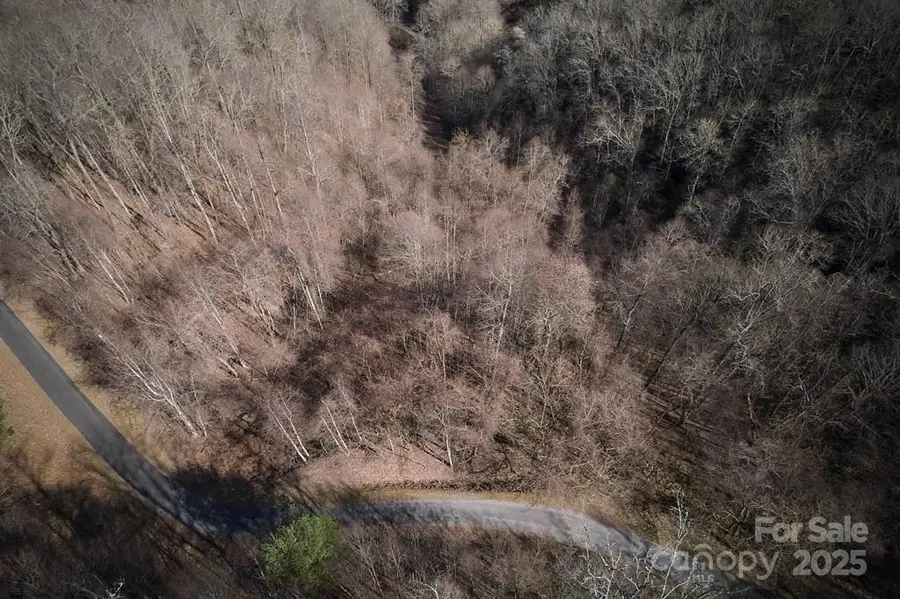 Lot 6A Freeman Overlook, Almond, NC 28702 - Image #2