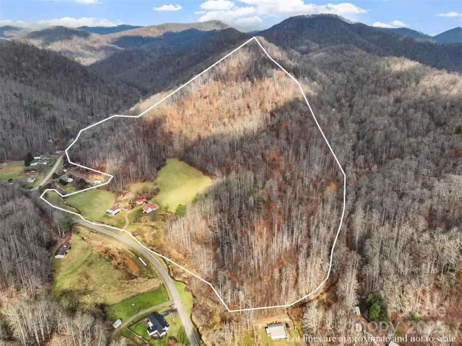 456 Windy Gap Road, Mars Hill, NC 28754 - Image #3