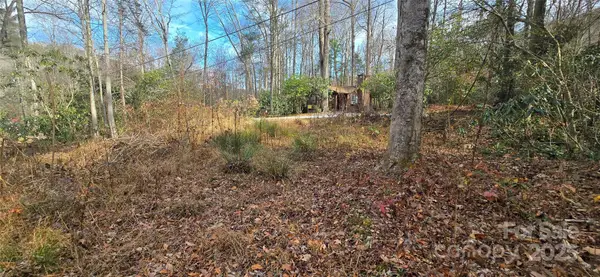 Lot 24 Twinbrook Lane, Maggie Valley, NC 28751