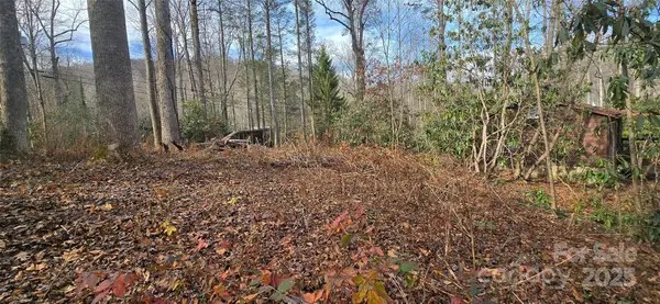 Lot 20 Twinbrook Lane, Maggie Valley, NC 28751