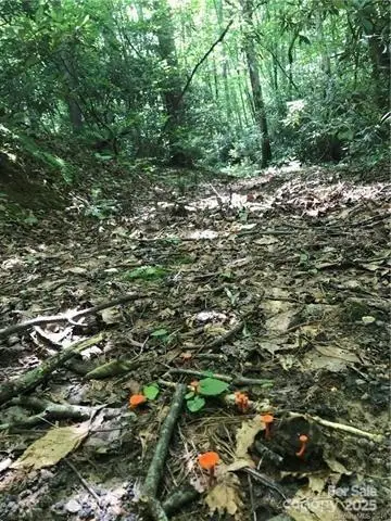 172 Crimson Drive #995, Old Fort, NC 28762 - Image #2