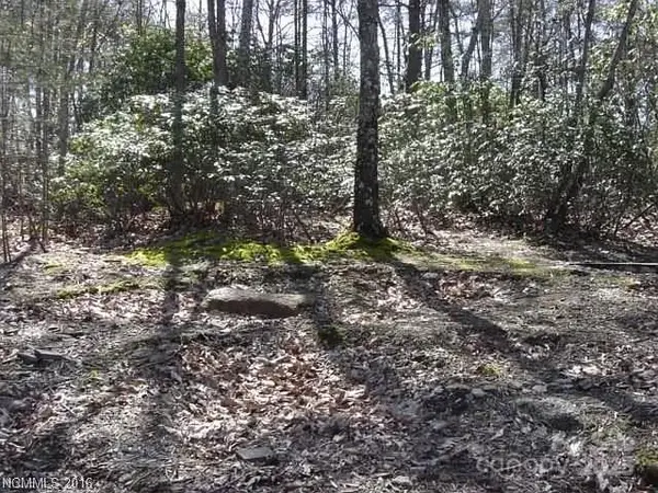 91 Old Forge Drive, Bostic, NC 28018