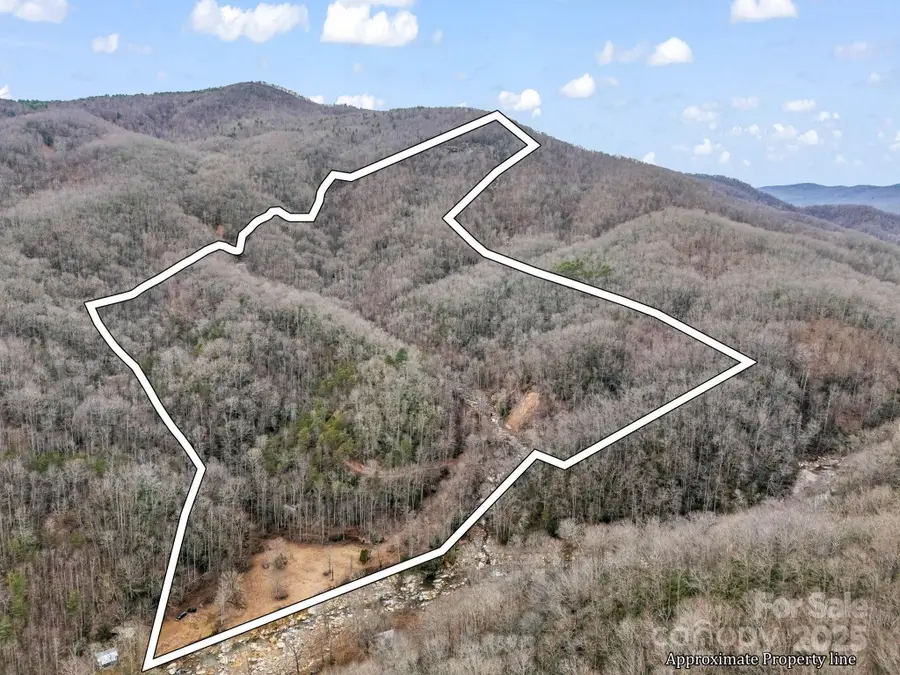2726 Lower Flat Creek Road, Black Mountain, NC 28711 - Image #2
